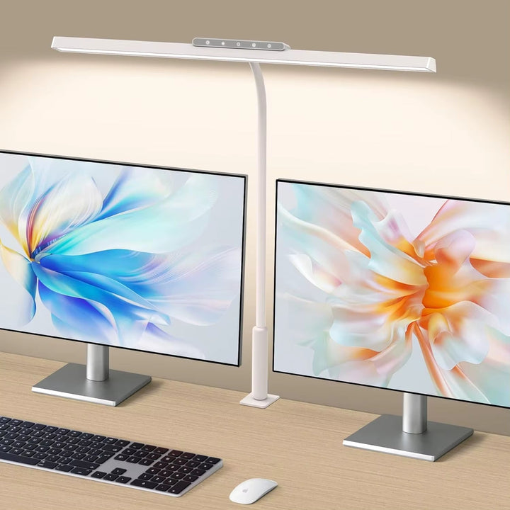 LED Desk Lamp