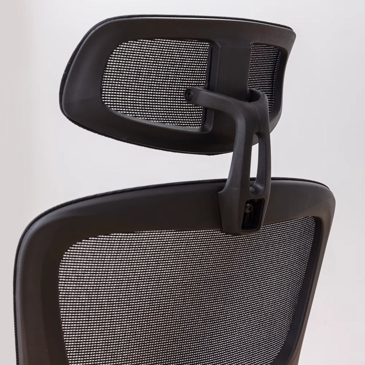 Ergonomic Mesh Office Chair with Adjustable Headrest & Lumbar Support