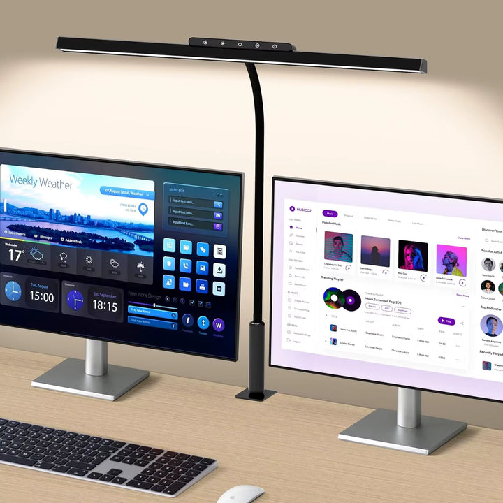 LED Desk Lamp